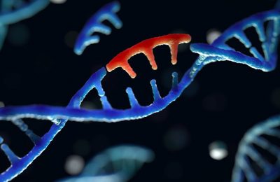 Why you Shouldn’t use lists as default function arguments in Python